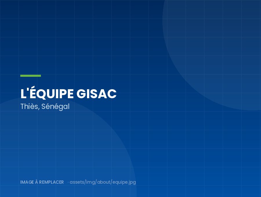 L'équipe GISAC à Thiès